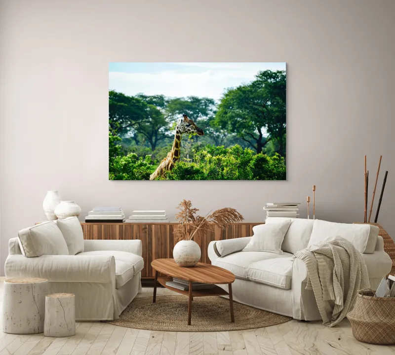 Tablou Canvas, "Girafa printre copaci în savană verde", Giraffe, Greenery, Trees, Sky, Wildlife, Nature, Landscape, 150 x 100 cm – poza 3