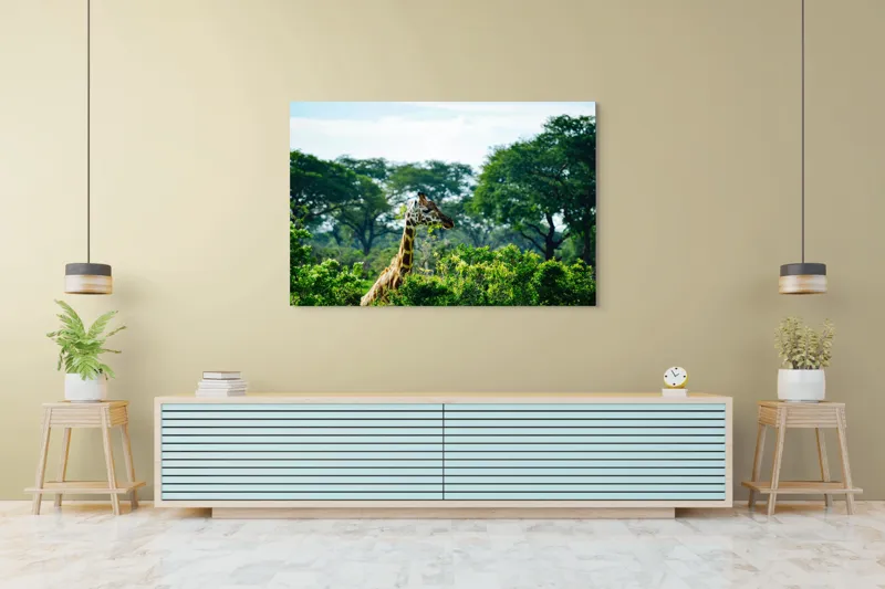 Tablou Canvas, "Girafa printre copaci în savană verde", Giraffe, Greenery, Trees, Sky, Wildlife, Nature, Landscape, 150 x 100 cm – poza 6