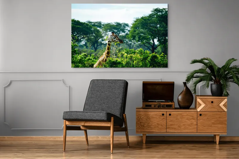 Tablou Canvas, "Girafa printre copaci în savană verde", Giraffe, Greenery, Trees, Sky, Wildlife, Nature, Landscape, 150 x 100 cm – poza 8