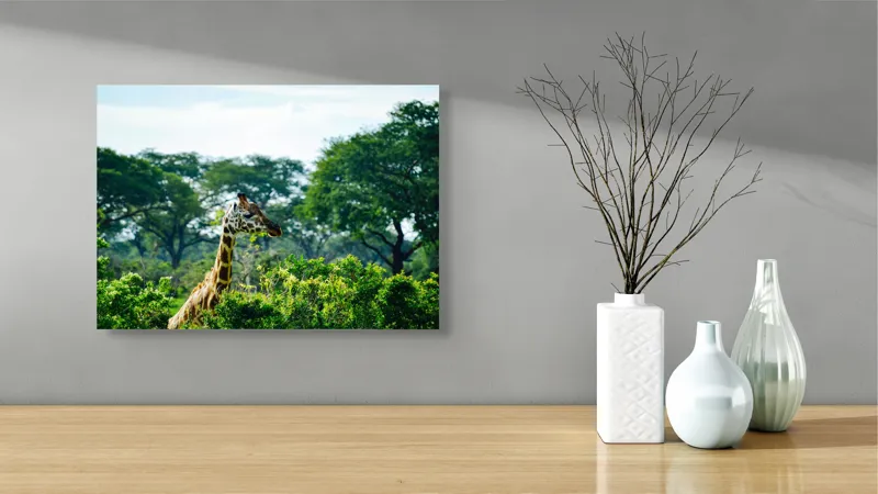 Tablou Canvas, "Girafa printre copaci în savană verde", Giraffe, Greenery, Trees, Sky, Wildlife, Nature, Landscape, 54 x 39 cm – poza 3