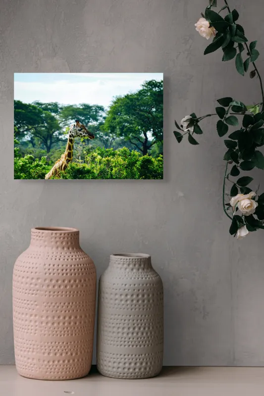 Tablou Canvas, "Girafa printre copaci în savană verde", Giraffe, Greenery, Trees, Sky, Wildlife, Nature, Landscape, 54 x 39 cm – poza 8