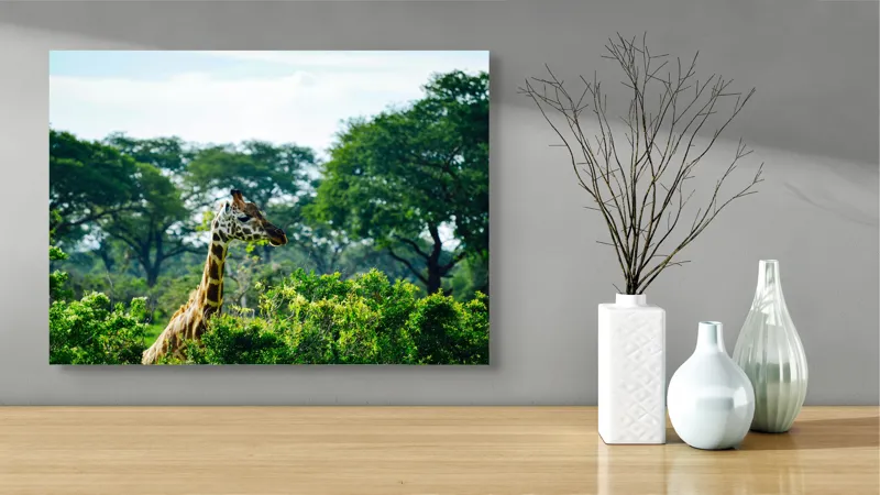 Tablou Canvas, "Girafa printre copaci în savană verde", Giraffe, Greenery, Trees, Sky, Wildlife, Nature, Landscape, 70 x 50 cm – poza 3