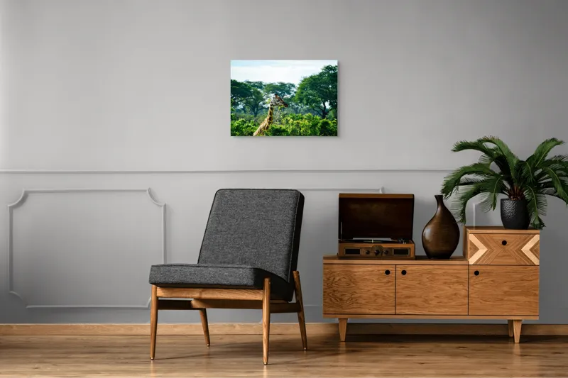 Tablou Canvas, "Girafa printre copaci în savană verde", Giraffe, Greenery, Trees, Sky, Wildlife, Nature, Landscape, 70 x 50 cm – poza 4