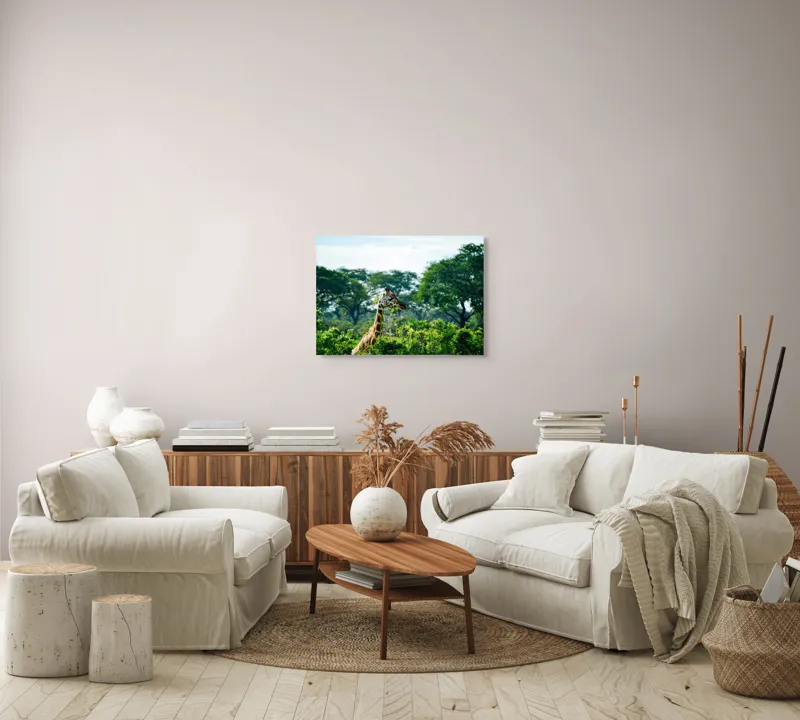 Tablou Canvas, "Girafa printre copaci în savană verde", Giraffe, Greenery, Trees, Sky, Wildlife, Nature, Landscape, 70 x 50 cm – poza 6