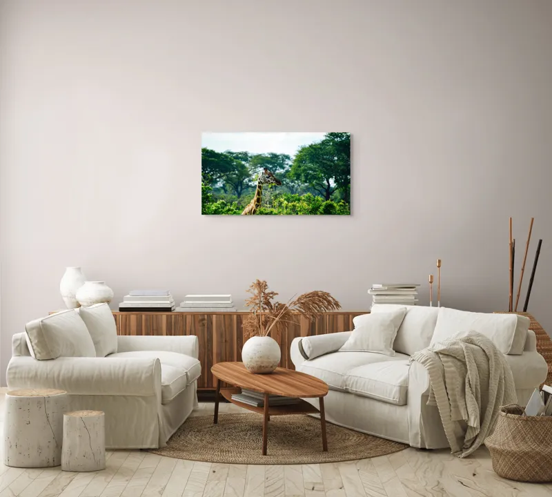 Tablou Canvas, "Girafa printre copaci în savană verde", Giraffe, Greenery, Trees, Sky, Wildlife, Nature, Landscape, 90 x 50 cm – poza 4