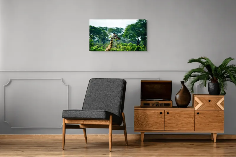 Tablou Canvas, "Girafa printre copaci în savană verde", Giraffe, Greenery, Trees, Sky, Wildlife, Nature, Landscape, 90 x 50 cm – poza 6