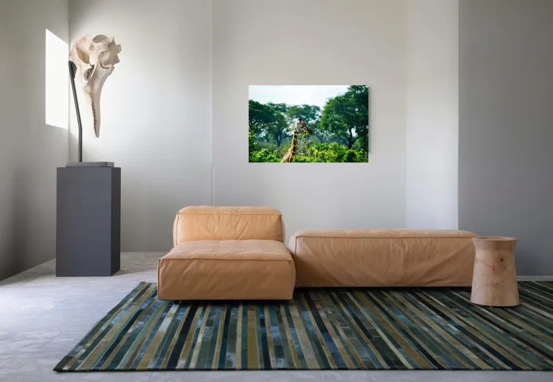 Tablou Canvas, "Girafa printre copaci în savană verde", Giraffe, Greenery, Trees, Sky, Wildlife, Nature, Landscape, 90 x 50 cm – poza 8