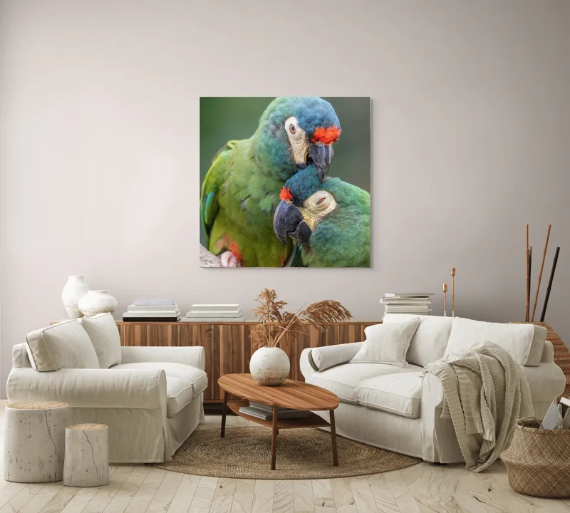 Tablou Canvas, "Papagali într-o tandră îmbrățișare verde", Nu pot să identific persoane sau animale specifice în imagini, dar pot spune că fotografia arată doi papagali colorați care arată afecțiune unul față de celălalt., 100 x 100 cm – poza 3