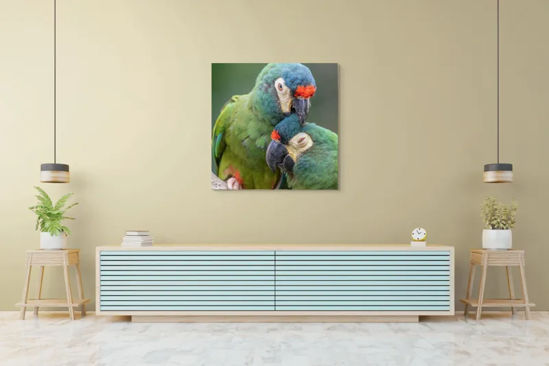 Tablou Canvas, "Papagali într-o tandră îmbrățișare verde", Nu pot să identific persoane sau animale specifice în imagini, dar pot spune că fotografia arată doi papagali colorați care arată afecțiune unul față de celălalt., 100 x 100 cm – poza 5