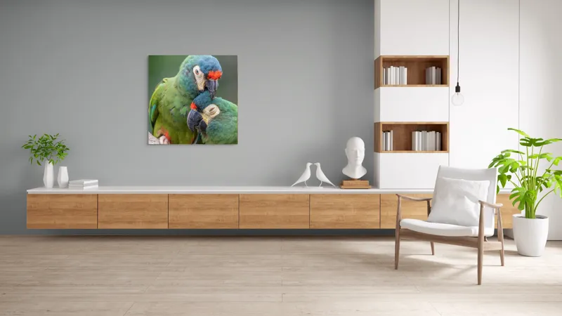 Tablou Canvas, "Papagali într-o tandră îmbrățișare verde", Nu pot să identific persoane sau animale specifice în imagini, dar pot spune că fotografia arată doi papagali colorați care arată afecțiune unul față de celălalt., 100 x 100 cm – poza 8