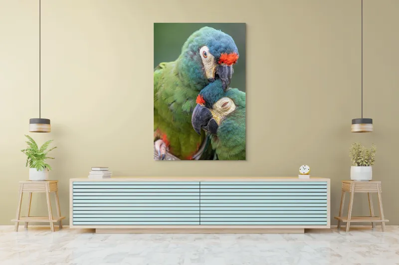 Tablou Canvas, "Papagali într-o tandră îmbrățișare verde", Nu pot să identific persoane sau animale specifice în imagini, dar pot spune că fotografia arată doi papagali colorați care arată afecțiune unul față de celălalt., 100 x 150 cm – poza 4