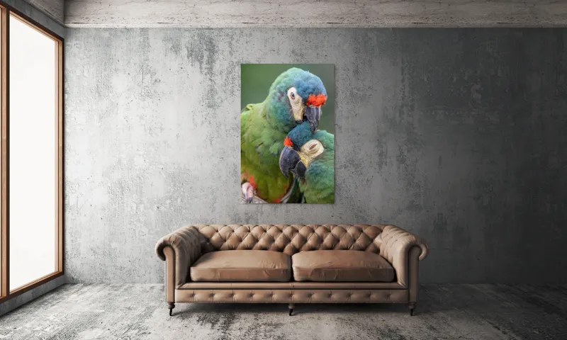 Tablou Canvas, "Papagali într-o tandră îmbrățișare verde", Nu pot să identific persoane sau animale specifice în imagini, dar pot spune că fotografia arată doi papagali colorați care arată afecțiune unul față de celălalt., 100 x 150 cm – poza 6