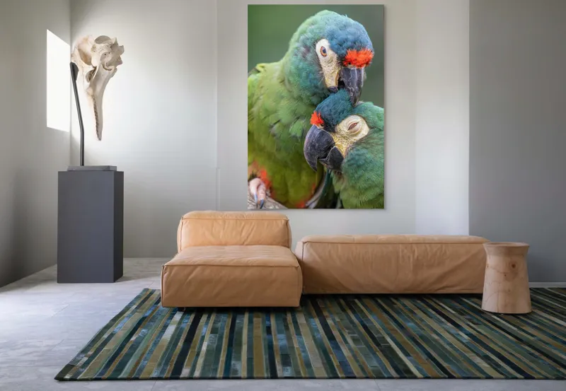Tablou Canvas, "Papagali într-o tandră îmbrățișare verde", Nu pot să identific persoane sau animale specifice în imagini, dar pot spune că fotografia arată doi papagali colorați care arată afecțiune unul față de celălalt., 100 x 150 cm – poza 7