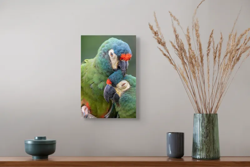 Tablou Canvas, "Papagali într-o tandră îmbrățișare verde", 26 x 39 cm – poza 5