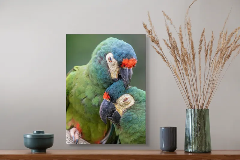 Tablou Canvas, "Papagali într-o tandră îmbrățișare verde", 39 x 54 cm – poza 3