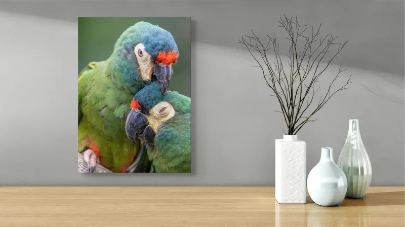 Tablou Canvas, "Papagali într-o tandră îmbrățișare verde", 39 x 54 cm – poza 4