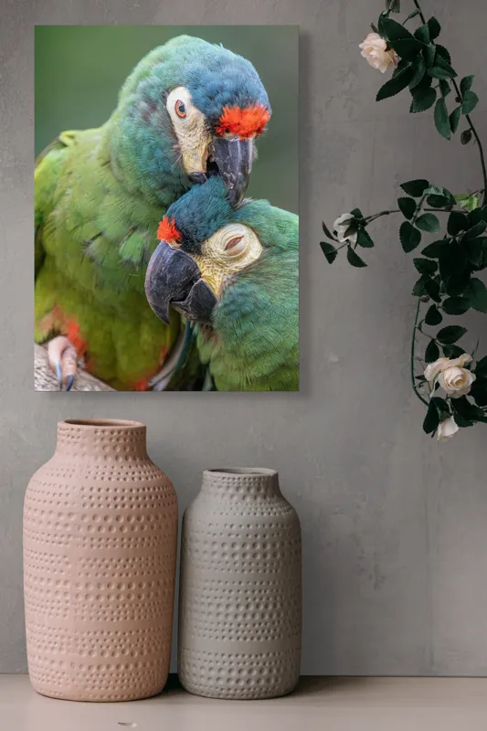 Tablou Canvas, "Papagali într-o tandră îmbrățișare verde", 39 x 54 cm – poza 6