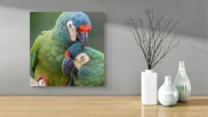 Tablou Canvas, "Papagali într-o tandră îmbrățișare verde", 50 x 50 cm – poza 3
