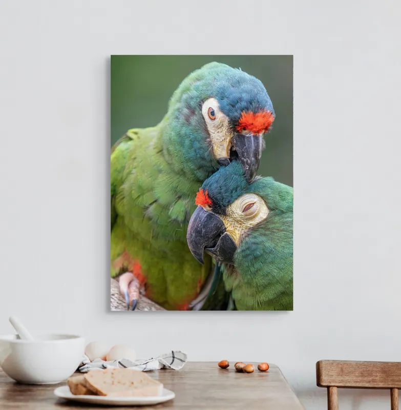 Tablou Canvas, "Papagali într-o tandră îmbrățișare verde", Nu pot să identific persoane sau animale specifice în imagini, dar pot spune că fotografia arată doi papagali colorați care arată afecțiune unul față de celălalt., 50 x 70 cm – poza 3