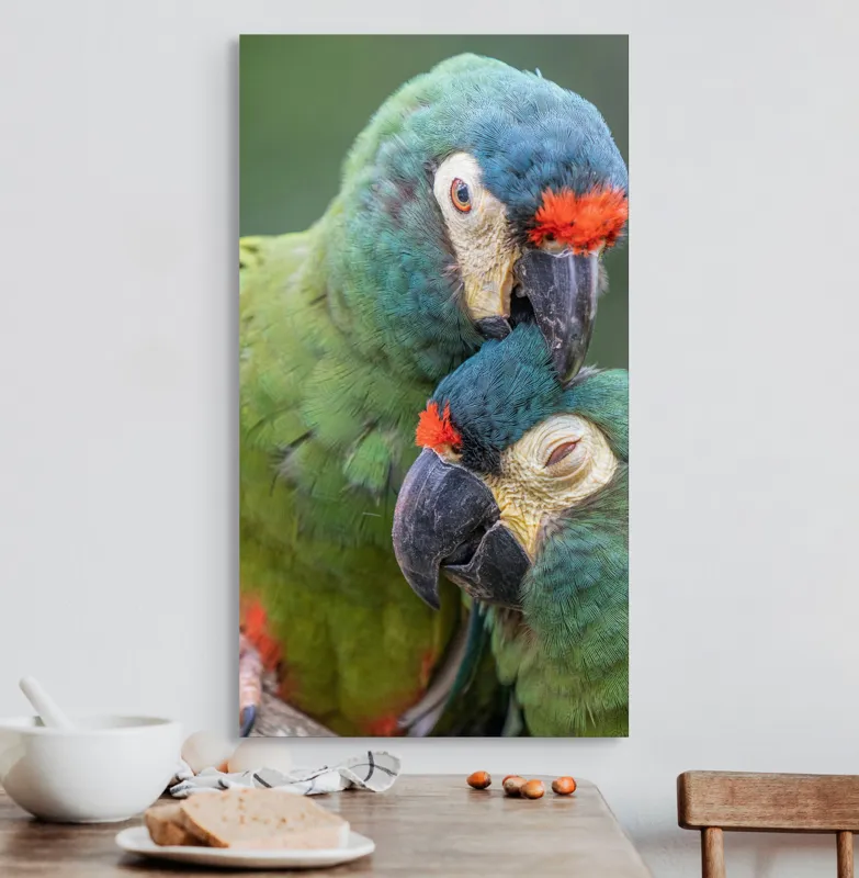 Tablou Canvas, "Papagali într-o tandră îmbrățișare verde", 50 x 90 cm – poza 3