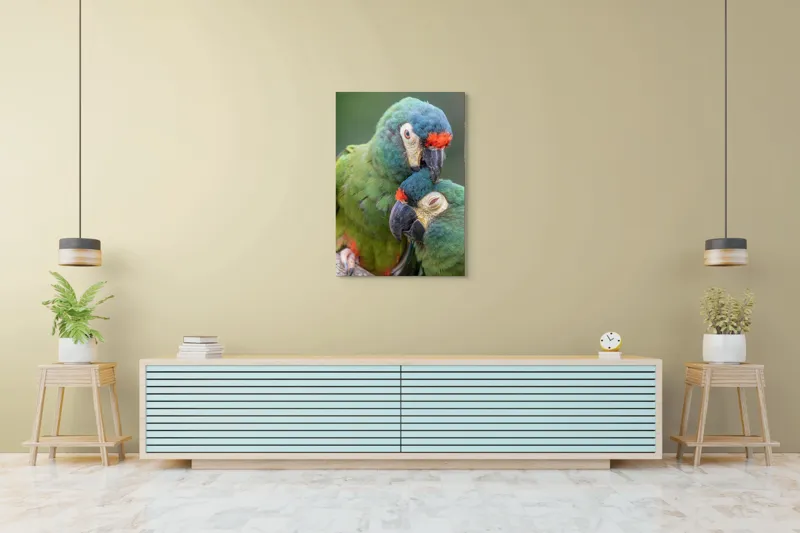 Tablou Canvas, "Papagali într-o tandră îmbrățișare verde", 70 x 100 cm – poza 5
