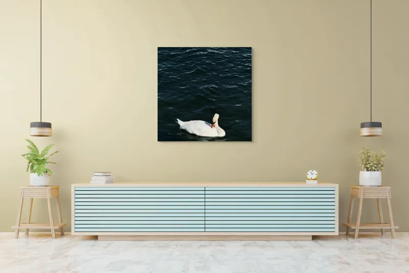 Tablou Canvas, "Lebăda plutește pe apă întunecată", Lebădă, Apă, Serenitate, Frumusețe, Calmitate, Natură, Eleganță, 100 x 100 cm – poza 5