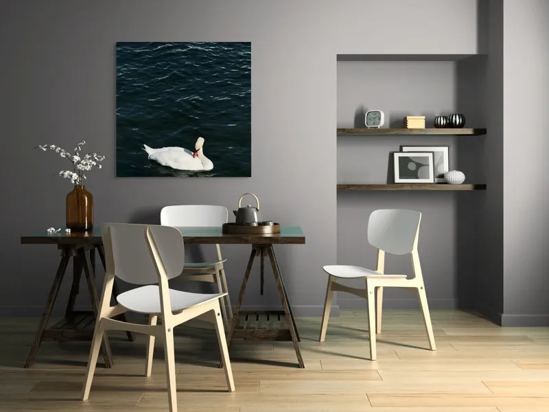 Tablou Canvas, "Lebăda plutește pe apă întunecată", Lebădă, Apă, Serenitate, Frumusețe, Calmitate, Natură, Eleganță, 100 x 100 cm – poza 6