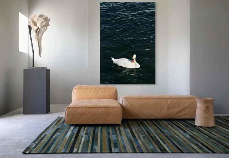 Tablou Canvas, "Lebăda plutește pe apă întunecată", Lebădă, Apă, Serenitate, Frumusețe, Calmitate, Natură, Eleganță, 100 x 150 cm – poza 7