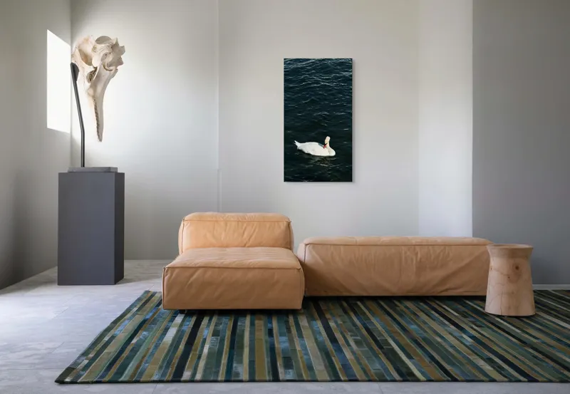 Tablou Canvas, "Lebăda plutește pe apă întunecată", Lebădă, Apă, Serenitate, Frumusețe, Calmitate, Natură, Eleganță, 50 x 90 cm – poza 5