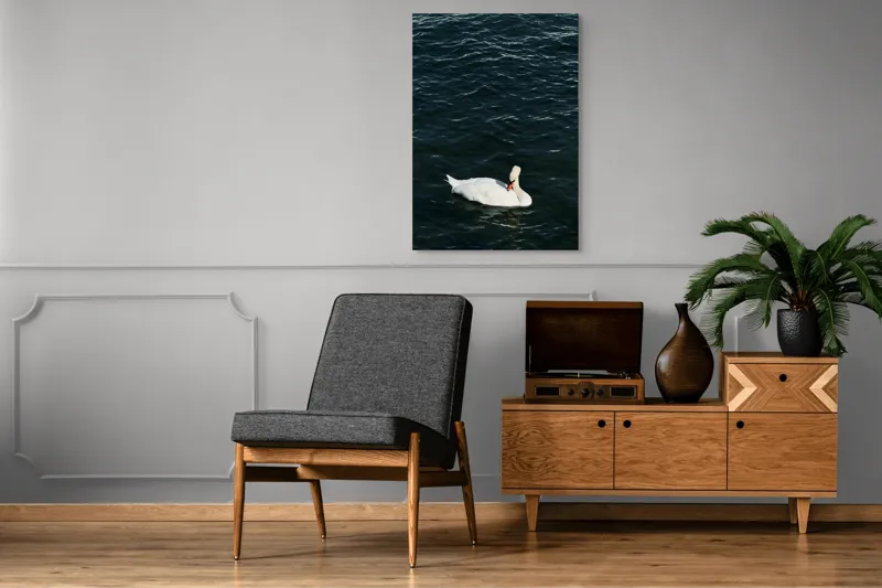 Tablou Canvas, "Lebăda plutește pe apă întunecată", Lebădă, Apă, Serenitate, Frumusețe, Calmitate, Natură, Eleganță, 70 x 100 cm – poza 6