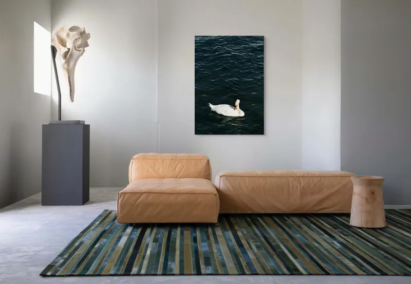 Tablou Canvas, "Lebăda plutește pe apă întunecată", Lebădă, Apă, Serenitate, Frumusețe, Calmitate, Natură, Eleganță, 70 x 100 cm – poza 7