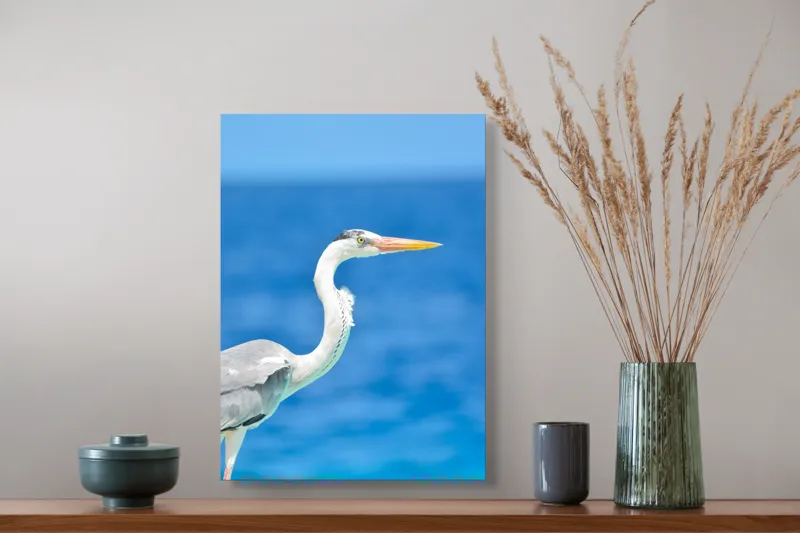 Tablou Canvas, "Egreta la marginea oceanului albastru", Nu pot să identific această pasăre, dar pot spune că imaginea arată un peisaj frumos cu un pește acvatic distinctiv., 39 x 54 cm – poza 3