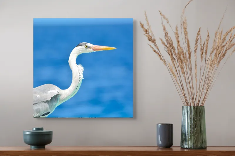 Tablou Canvas, "Egreta la marginea oceanului albastru", 50 x 50 cm – poza 4