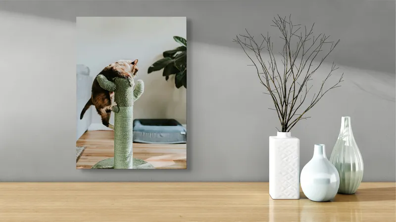 Tablou Canvas, "Pisica alpinistă pe cactus verde", Pisică, Cactus, Verde, Joacă, Interior, Blană, Gri, Podea, Plante, Amuzament, 39 x 54 cm – poza 4