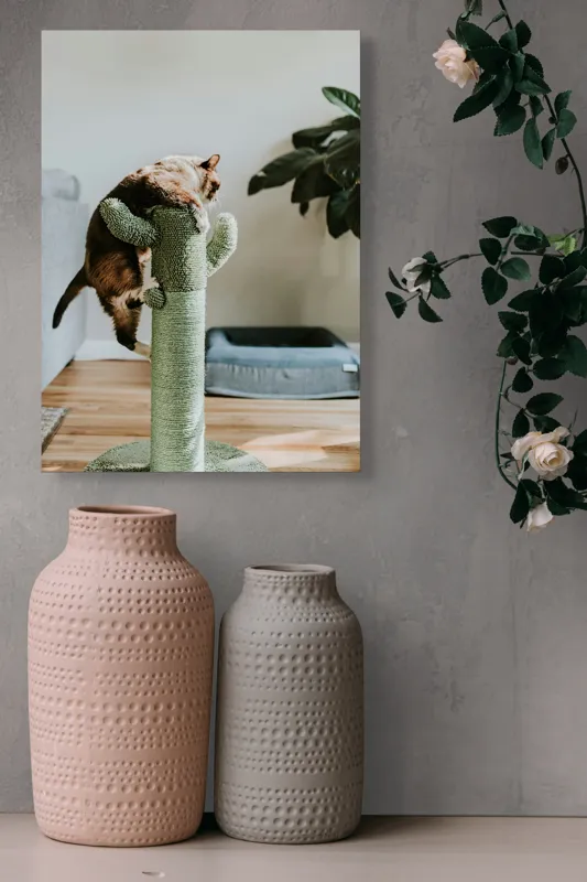 Tablou Canvas, "Pisica alpinistă pe cactus verde", Pisică, Cactus, Verde, Joacă, Interior, Blană, Gri, Podea, Plante, Amuzament, 39 x 54 cm – poza 6