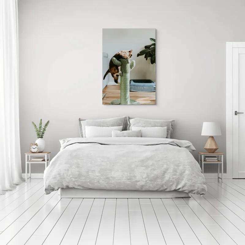 Tablou Canvas, "Pisica alpinistă pe cactus verde", Pisică, Cactus, Verde, Joacă, Interior, Blană, Gri, Podea, Plante, Amuzament, 70 x 100 cm – poza 3