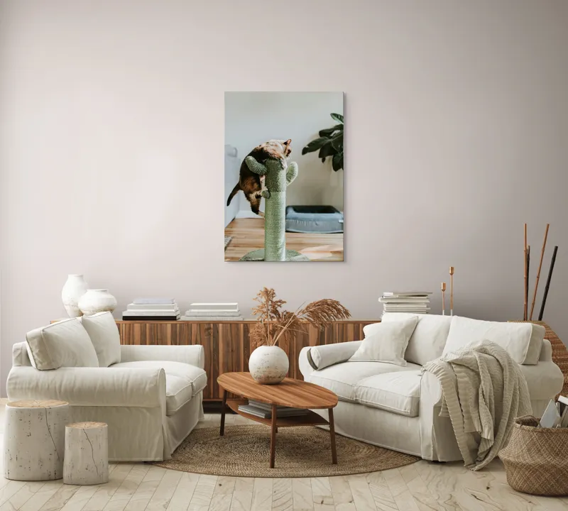Tablou Canvas, "Pisica alpinistă pe cactus verde", Pisică, Cactus, Verde, Joacă, Interior, Blană, Gri, Podea, Plante, Amuzament, 70 x 100 cm – poza 4
