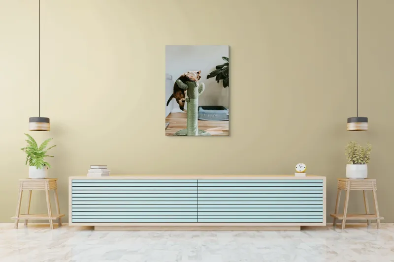 Tablou Canvas, "Pisica alpinistă pe cactus verde", Pisică, Cactus, Verde, Joacă, Interior, Blană, Gri, Podea, Plante, Amuzament, 70 x 100 cm – poza 5