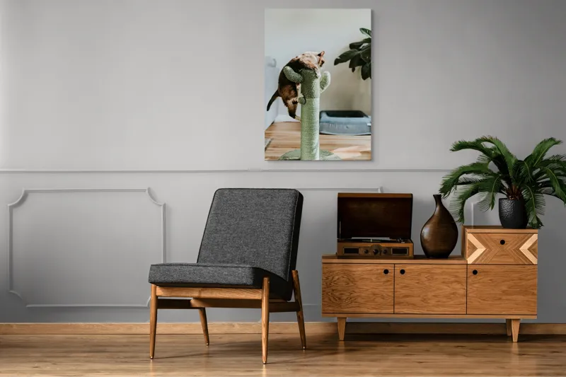 Tablou Canvas, "Pisica alpinistă pe cactus verde", Pisică, Cactus, Verde, Joacă, Interior, Blană, Gri, Podea, Plante, Amuzament, 70 x 100 cm – poza 6