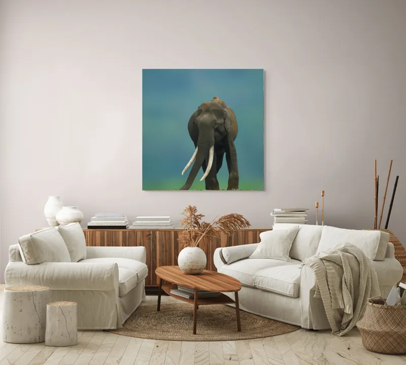 Tablou Canvas, "Elefantul în liniștea naturii", Elefant, Trombă, Colți, Iarbă, Serenitate, Natură, Verde, Albastru, 100 x 100 cm – poza 3
