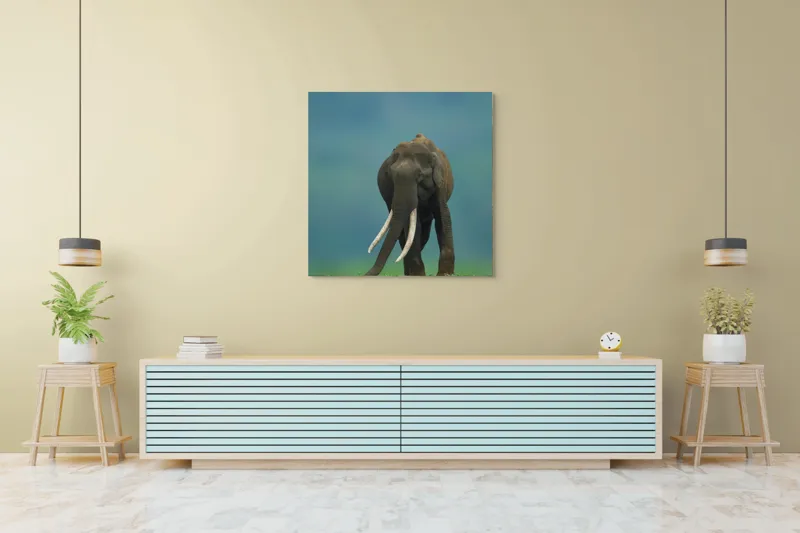 Tablou Canvas, "Elefantul în liniștea naturii", Elefant, Trombă, Colți, Iarbă, Serenitate, Natură, Verde, Albastru, 100 x 100 cm – poza 5