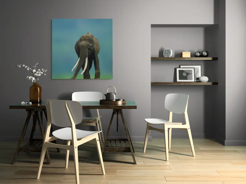 Tablou Canvas, "Elefantul în liniștea naturii", Elefant, Trombă, Colți, Iarbă, Serenitate, Natură, Verde, Albastru, 100 x 100 cm – poza 6
