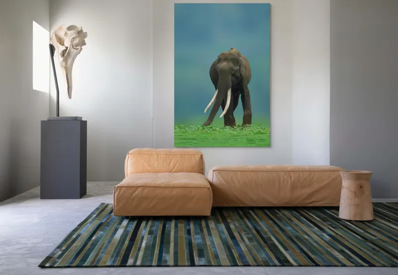 Tablou Canvas, "Elefantul în liniștea naturii", Elefant, Trombă, Colți, Iarbă, Serenitate, Natură, Verde, Albastru, 100 x 150 cm – poza 7