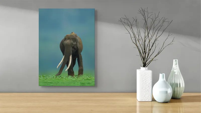 Tablou Canvas, "Elefantul în liniștea naturii", Elefant, Trombă, Colți, Iarbă, Serenitate, Natură, Verde, Albastru, 39 x 54 cm – poza 4