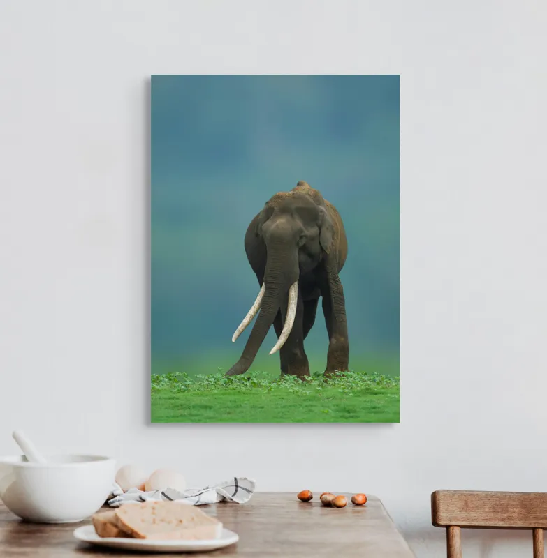 Tablou Canvas, "Elefantul în liniștea naturii", Elefant, Trombă, Colți, Iarbă, Serenitate, Natură, Verde, Albastru, 50 x 70 cm – poza 3