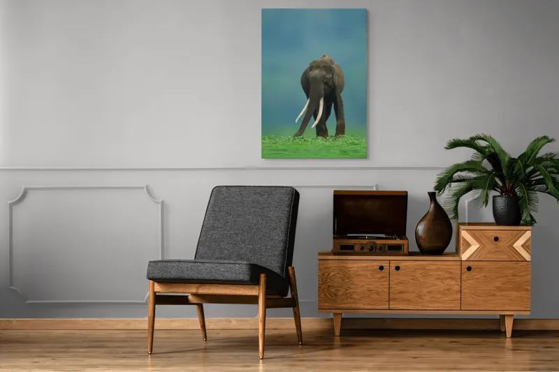 Tablou Canvas, "Elefantul în liniștea naturii", Elefant, Trombă, Colți, Iarbă, Serenitate, Natură, Verde, Albastru, 70 x 100 cm – poza 6