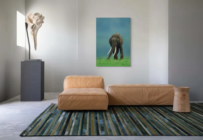 Tablou Canvas, "Elefantul în liniștea naturii", Elefant, Trombă, Colți, Iarbă, Serenitate, Natură, Verde, Albastru, 70 x 100 cm – poza 7