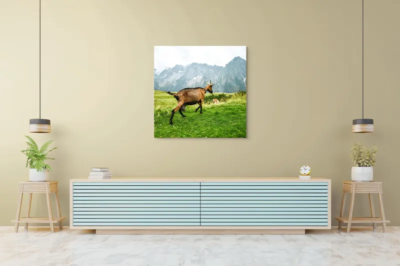 Tablou Canvas, "Capra liberă în munții verzi", Capră, Munte, Iarbă, Cer, Peisaj, Natură, Vârfuri, Libertate, Verde, Aventură, 100 x 100 cm – poza 5
