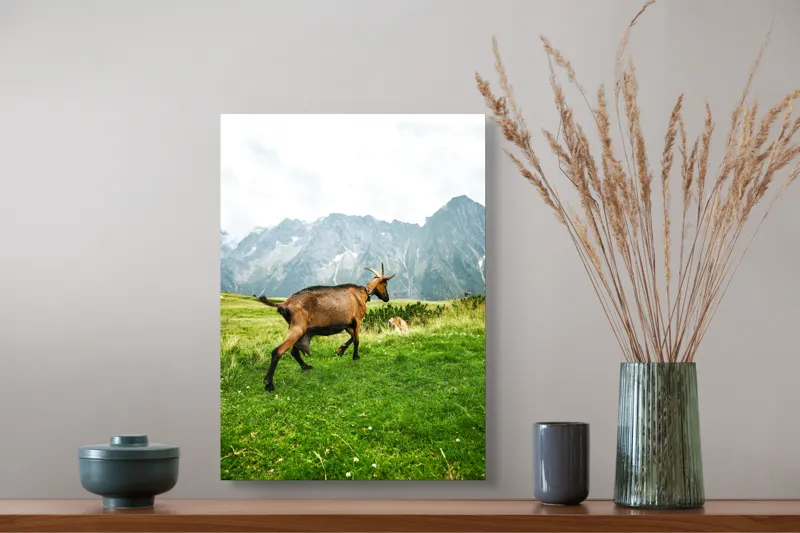 Tablou Canvas, "Capra liberă în munții verzi", Capră, Munte, Iarbă, Cer, Peisaj, Natură, Vârfuri, Libertate, Verde, Aventură, 39 x 54 cm – poza 3