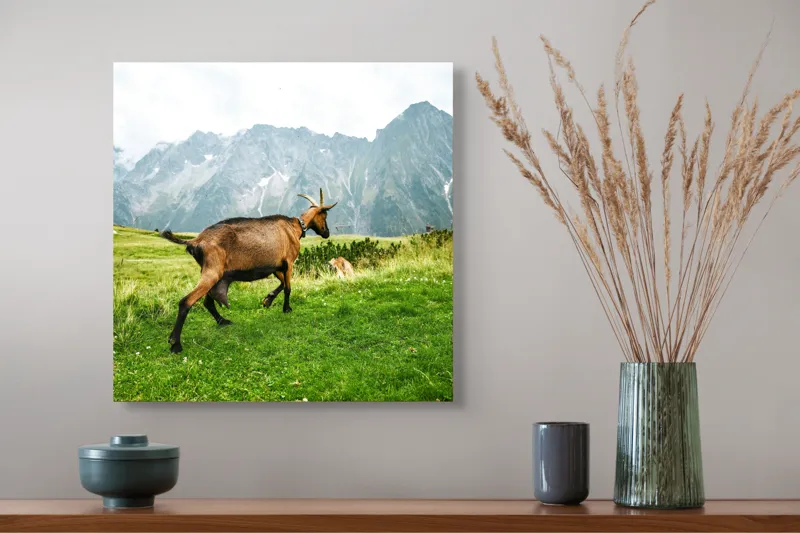 Tablou Canvas, "Capra liberă în munții verzi", Capră, Munte, Iarbă, Cer, Peisaj, Natură, Vârfuri, Libertate, Verde, Aventură, 50 x 50 cm – poza 4